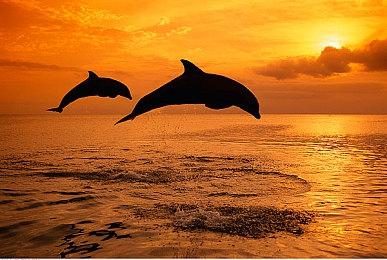 《糖豆人：终极淘汰赛》新赛季新关卡 限时双排三排以及特殊活动